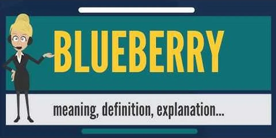 blueberry là gì - Nghĩa của từ blueberry