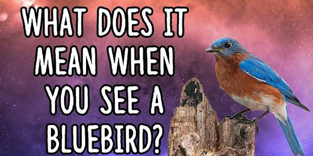 bluebirds là gì - Nghĩa của từ bluebirds