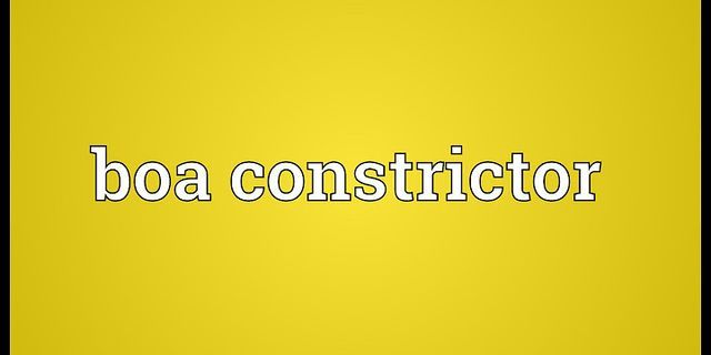 boa constrictor là gì - Nghĩa của từ boa constrictor