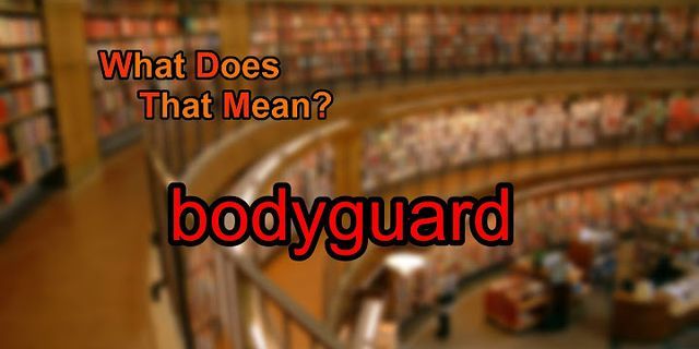 bodyguards là gì - Nghĩa của từ bodyguards