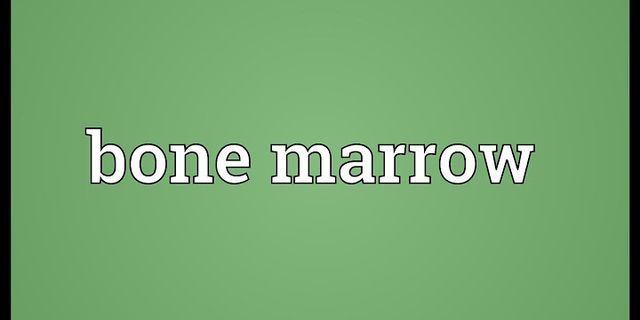 bone marrow là gì - Nghĩa của từ bone marrow