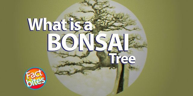 bonsai tree là gì - Nghĩa của từ bonsai tree