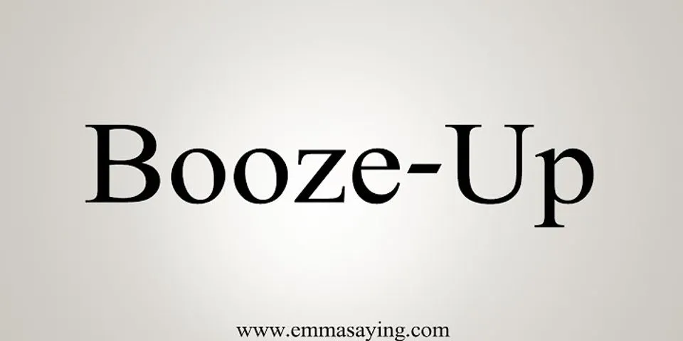 booze up là gì - Nghĩa của từ booze up