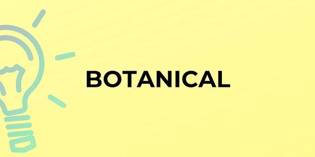 botanical là gì - Nghĩa của từ botanical
