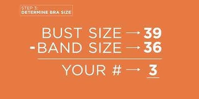 bra size là gì - Nghĩa của từ bra size