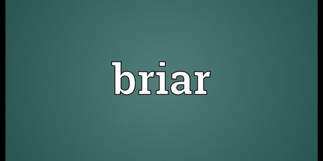 briars là gì - Nghĩa của từ briars