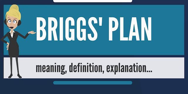 briggs là gì - Nghĩa của từ briggs
