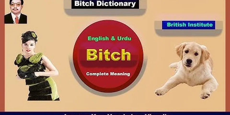 british bitch là gì - Nghĩa của từ british bitch