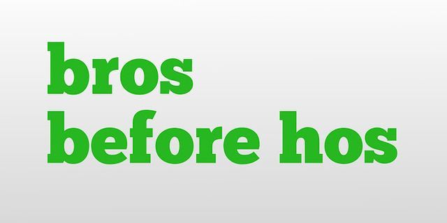 bros before hos là gì - Nghĩa của từ bros before hos