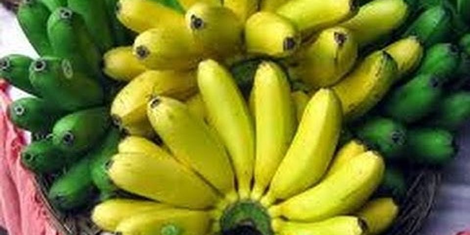 Buah pisang dapat mencegah penyakit brainly