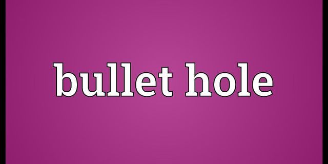 bullet holes là gì - Nghĩa của từ bullet holes