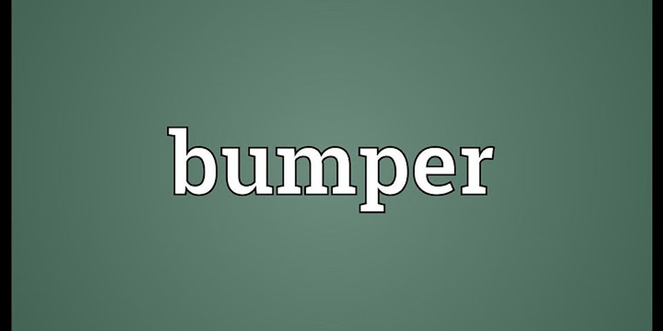 bumper buddy là gì - Nghĩa của từ bumper buddy