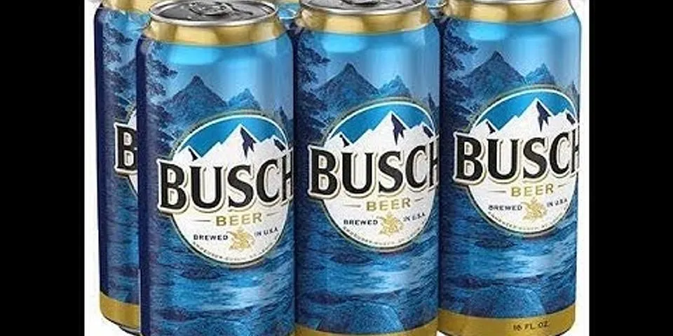 busch beer là gì - Nghĩa của từ busch beer