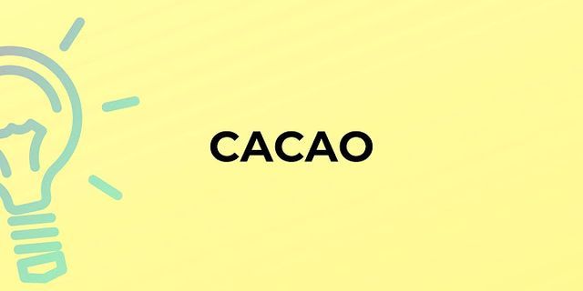 cacao là gì - Nghĩa của từ cacao