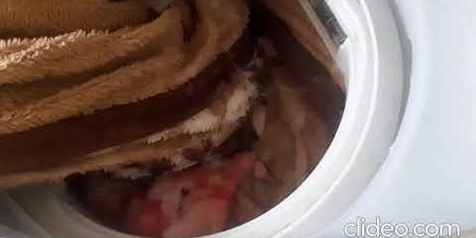 Cách giặt chăn phao
