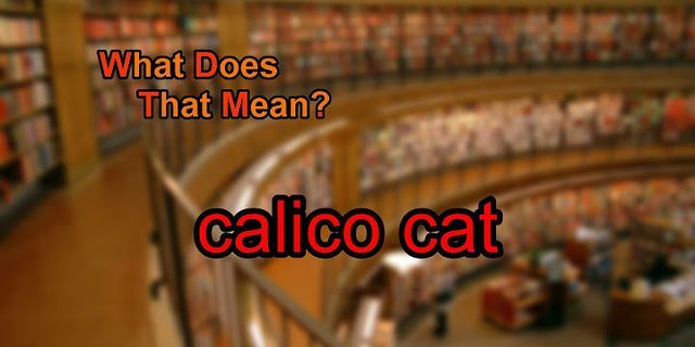 calico cat là gì - Nghĩa của từ calico cat