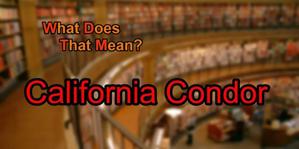 california condor là gì - Nghĩa của từ california condor