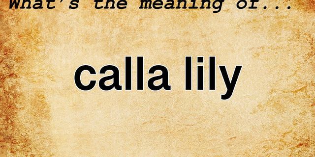 calla lily là gì - Nghĩa của từ calla lily