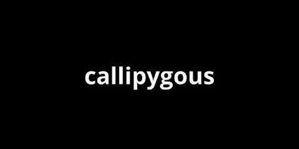callipygous là gì - Nghĩa của từ callipygous