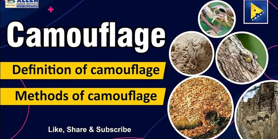 camouflage là gì - Nghĩa của từ camouflage