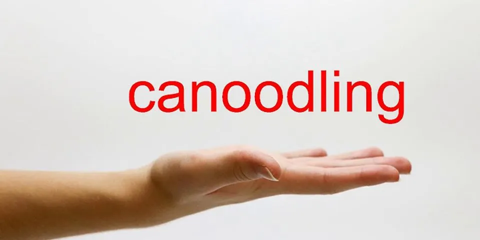 canoodling là gì - Nghĩa của từ canoodling