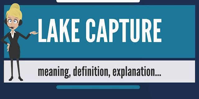 capture là gì - Nghĩa của từ capture