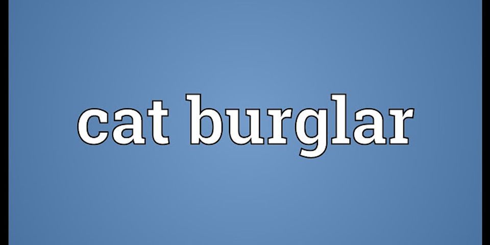 cat burglar là gì - Nghĩa của từ cat burglar