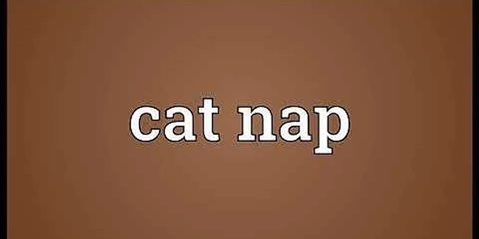 cat nap là gì - Nghĩa của từ cat nap