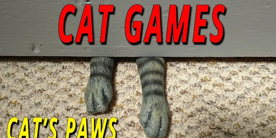 cat paws là gì - Nghĩa của từ cat paws