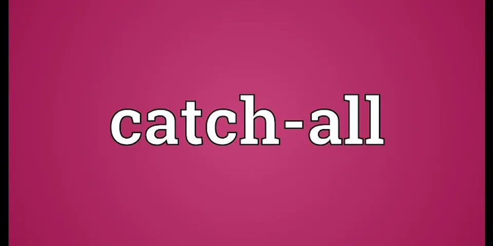 catch everything là gì - Nghĩa của từ catch everything
