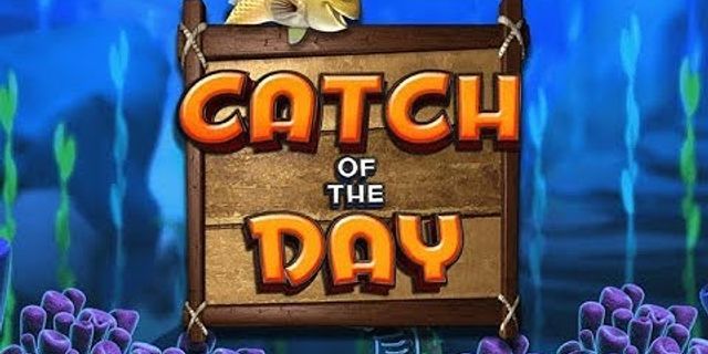 catch of the day là gì - Nghĩa của từ catch of the day
