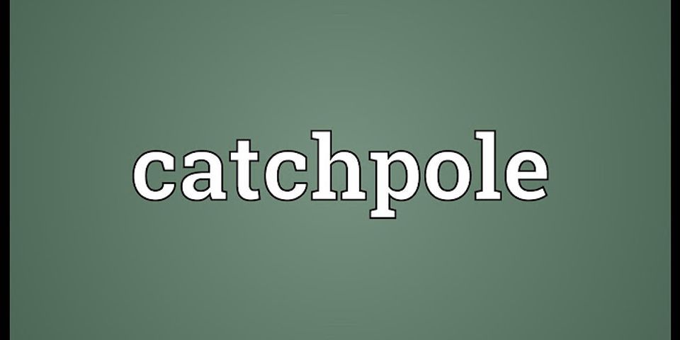 catchpole là gì - Nghĩa của từ catchpole