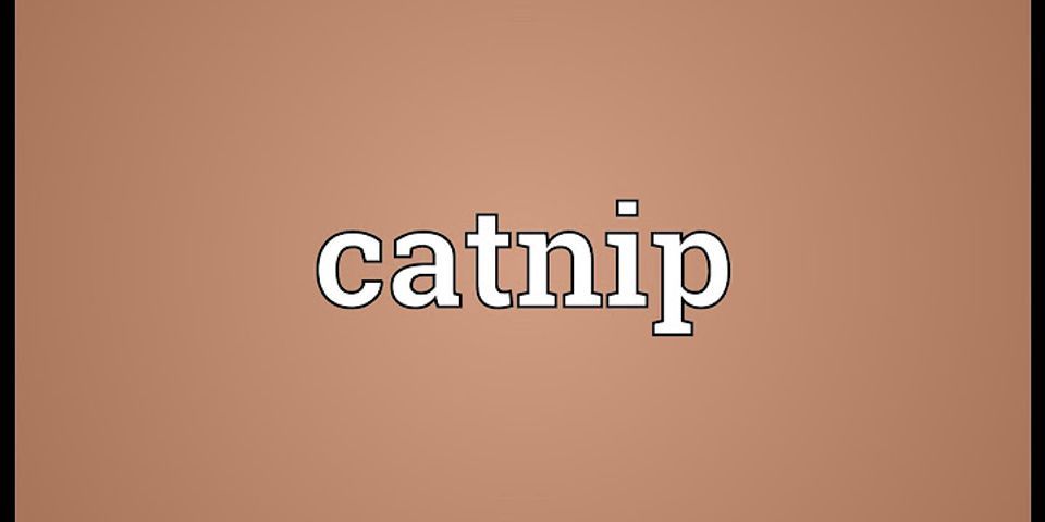 catnip là gì - Nghĩa của từ catnip