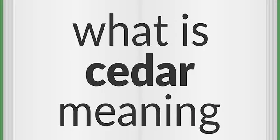 cedar point là gì - Nghĩa của từ cedar point