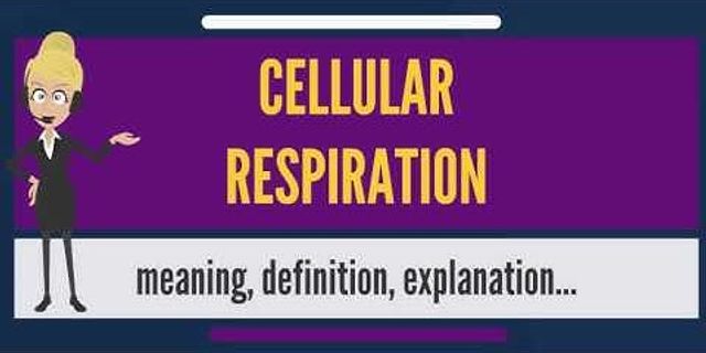 cellular respiration là gì - Nghĩa của từ cellular respiration