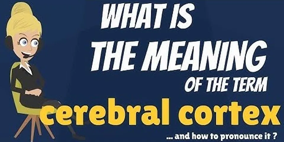 cerebral là gì - Nghĩa của từ cerebral