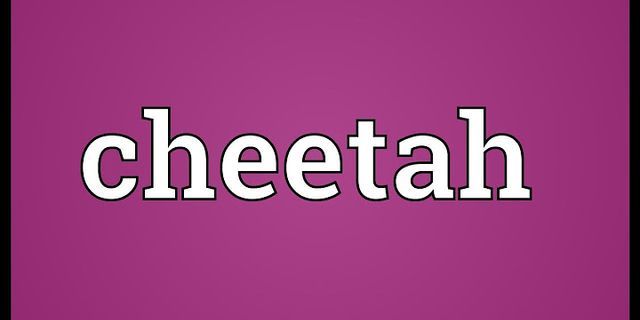 cheetahs là gì - Nghĩa của từ cheetahs