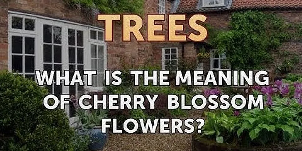 cherry tree là gì - Nghĩa của từ cherry tree