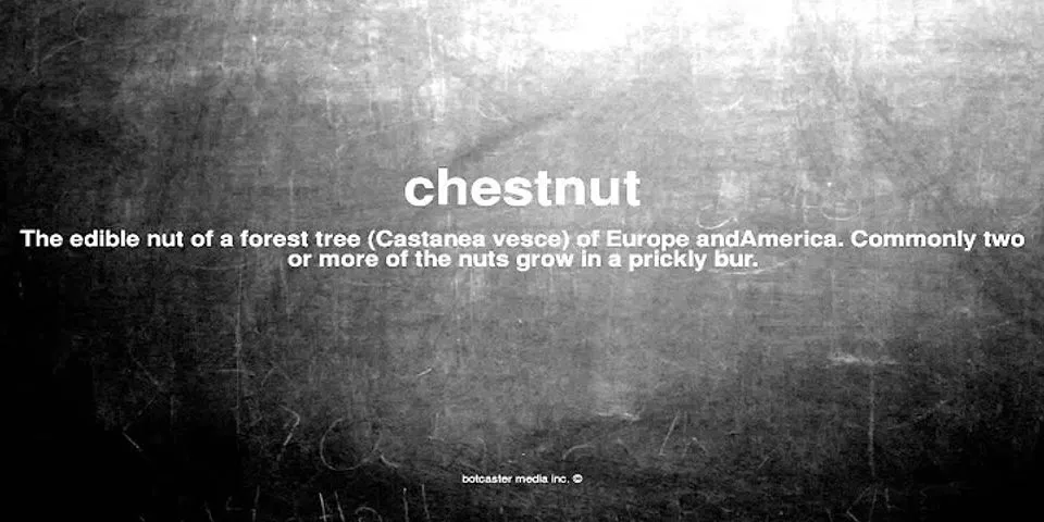 chestnut là gì - Nghĩa của từ chestnut