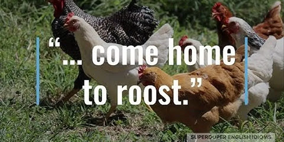 chickens come home to roost là gì - Nghĩa của từ chickens come home to roost