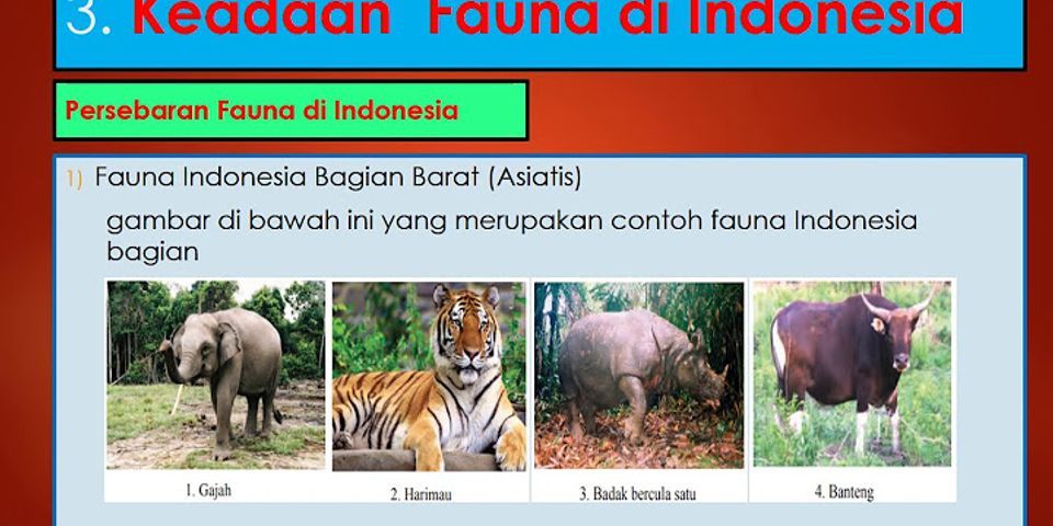 Coba kamu sebutkan 5 karakteristik flora yang ada di indonesia barat atau indo malayan