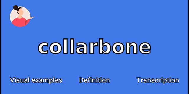 collar bone là gì - Nghĩa của từ collar bone