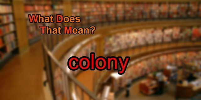 colony là gì - Nghĩa của từ colony