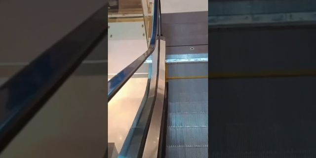 coming down the escalator là gì - Nghĩa của từ coming down the escalator