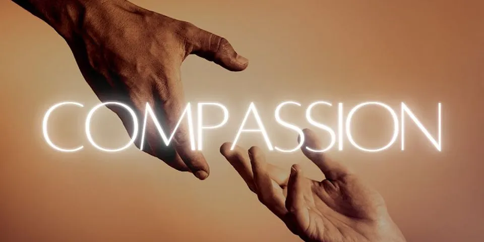 compassion là gì - Nghĩa của từ compassion