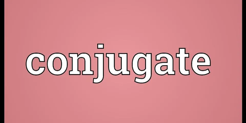 conjugal là gì - Nghĩa của từ conjugal