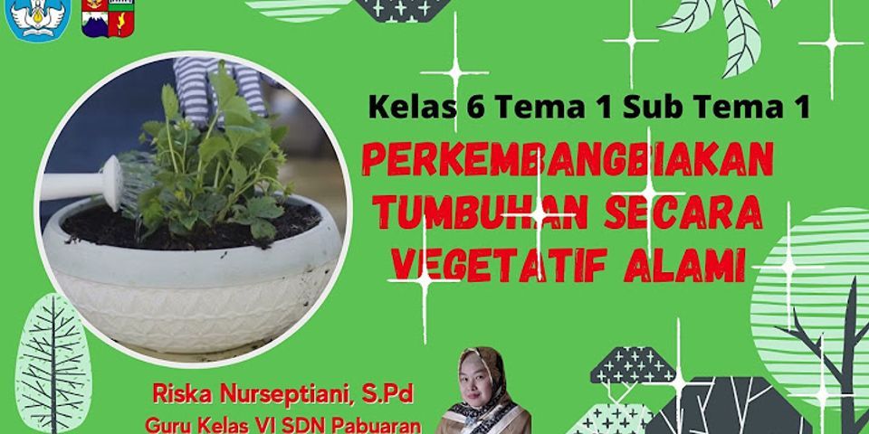 Contoh tumbuhan vegetatif brainly