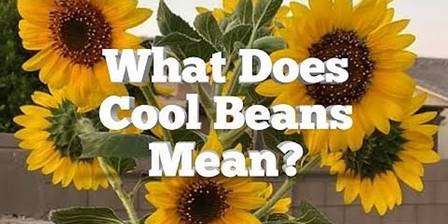 cool beans là gì - Nghĩa của từ cool beans