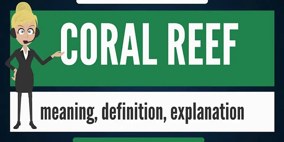 coral reef là gì - Nghĩa của từ coral reef