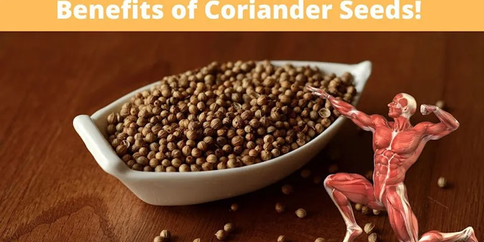 coriander seeds là gì - Nghĩa của từ coriander seeds